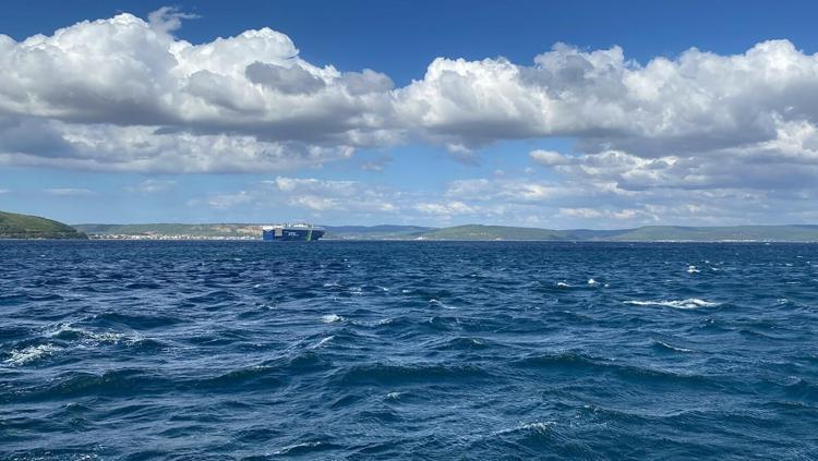 Suların hızlı soğuması, Çanakkale Boğazı ve Marmara'da palamut avcılığını geciktirdi
