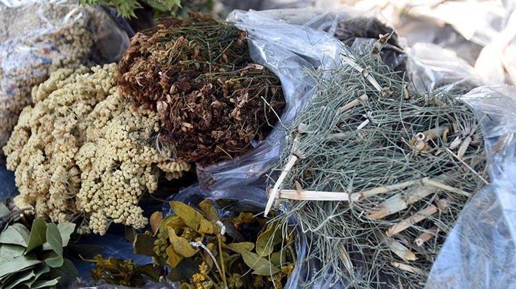 'En masumlarının bile vücudumuza toksik etkileri olabiliyor'