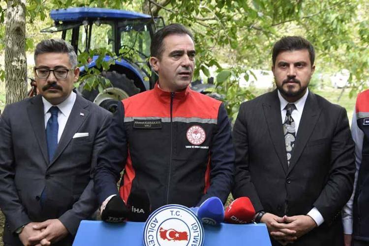 Adilcevaz’da ceviz hasadı başladı