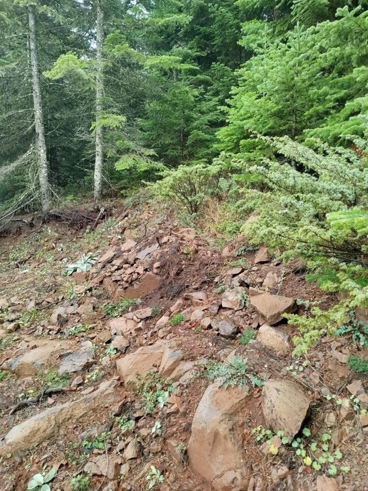 Bolu’daki kayaç, birçok sektöre ham madde olabilecek