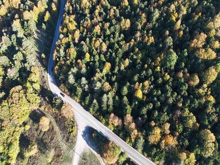 Bolu ormanlarında sonbahar renkleri