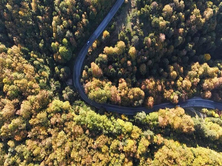 Bolu ormanlarında sonbahar renkleri