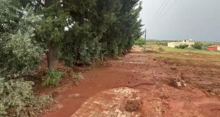 Hatay’da yağış, taşkına neden oldu
