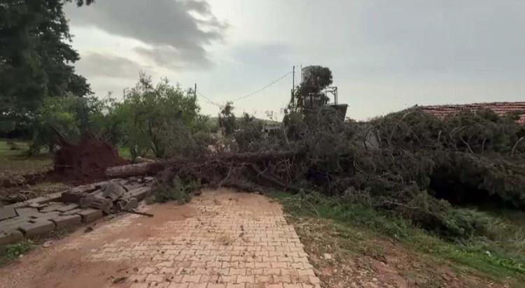 Hatay’da yağış, taşkına neden oldu