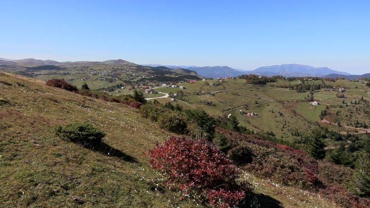 Trabzon’da, yaylacıların renkli dönüş yolculuğu