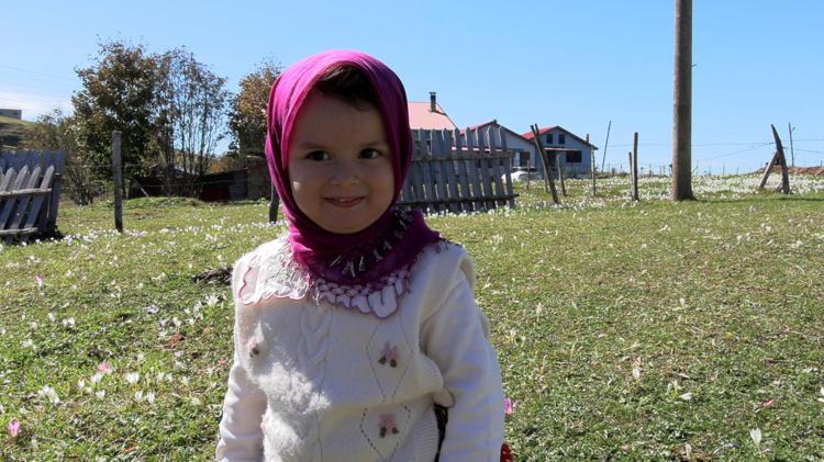 Trabzon’da, yaylacıların renkli dönüş yolculuğu
