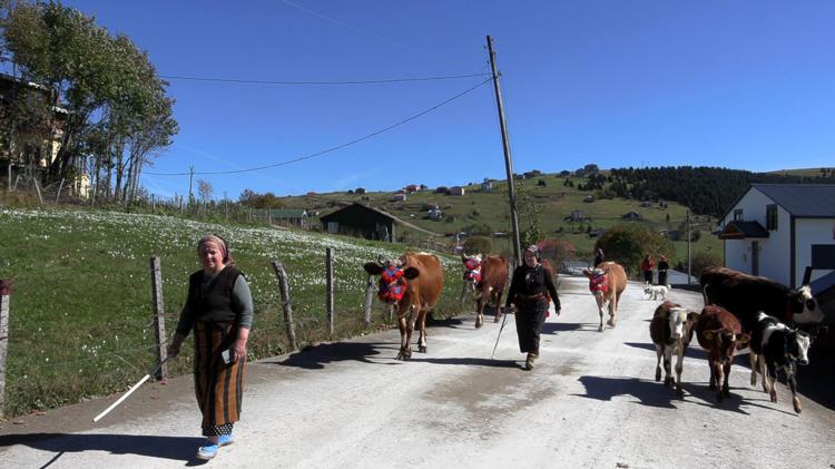 Trabzon’da, yaylacıların renkli dönüş yolculuğu