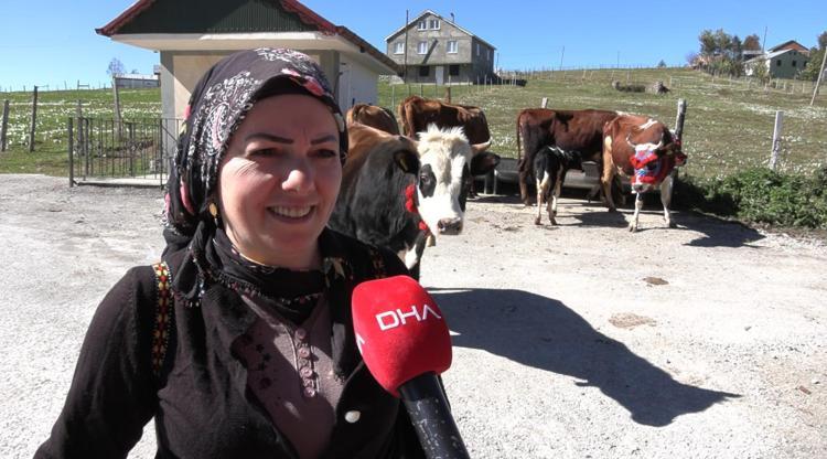 Trabzon’da, yaylacıların renkli dönüş yolculuğu