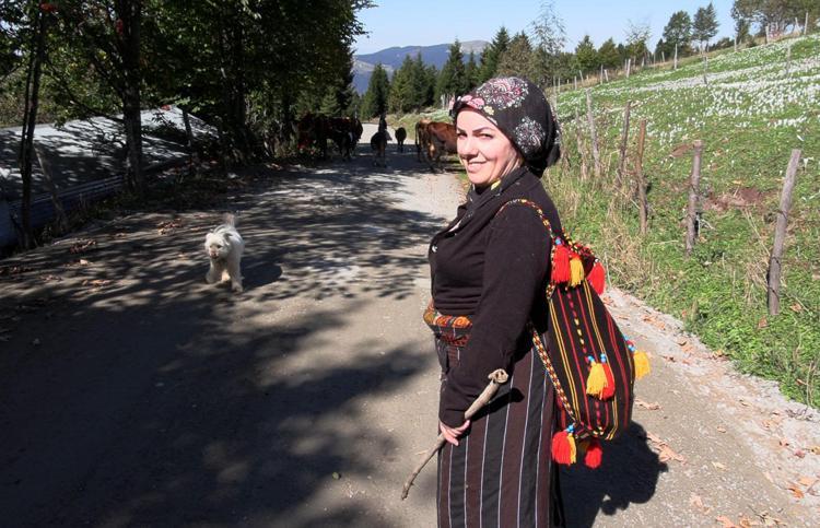Trabzon’da, yaylacıların renkli dönüş yolculuğu