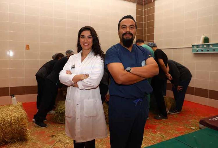 Retina rahatsızlığı bulunan deveye kök hücre tedavisi