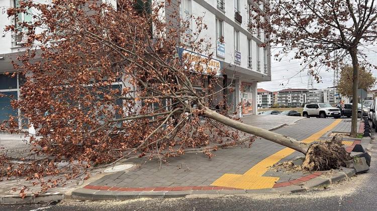 Tekirdağ'da fırtına; eğitim uçuşları iptal edildi, balıkçılar denize açılamadı