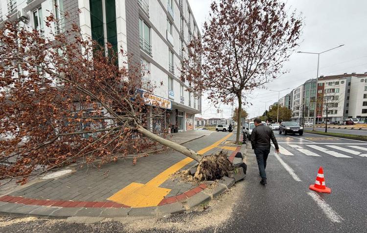 Tekirdağ'da fırtına; eğitim uçuşları iptal edildi, balıkçılar denize açılamadı