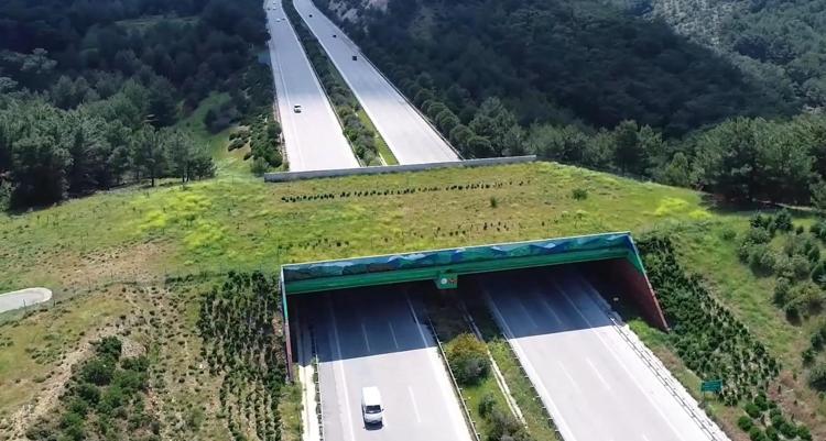 Bakan Uraloğlu: Kara yolu ve demir yolu ağımız üzerinde 21 ekolojik köprü inşa ettik
