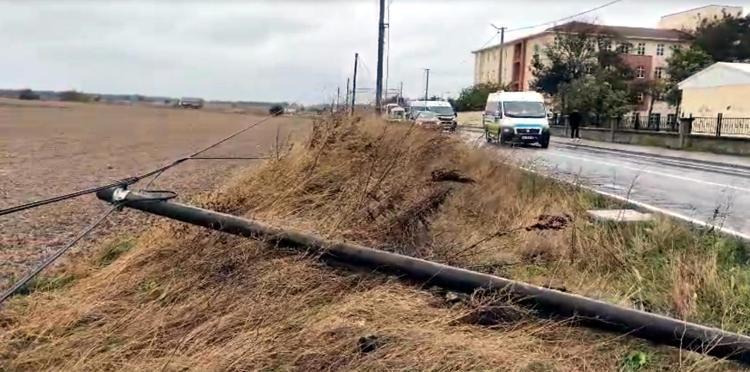 Tekirdağ'da fırtına; ağaç ve telefon direği devrildi