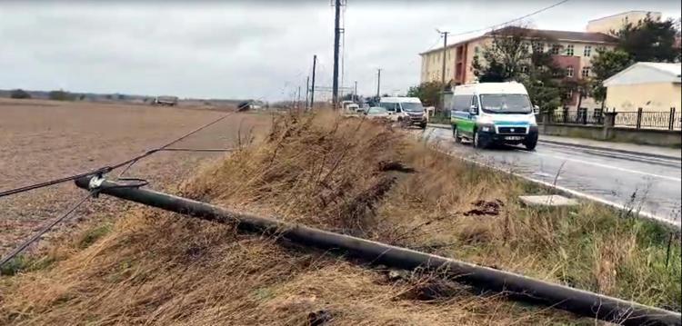 Tekirdağ'da fırtına; ağaç ve telefon direği devrildi