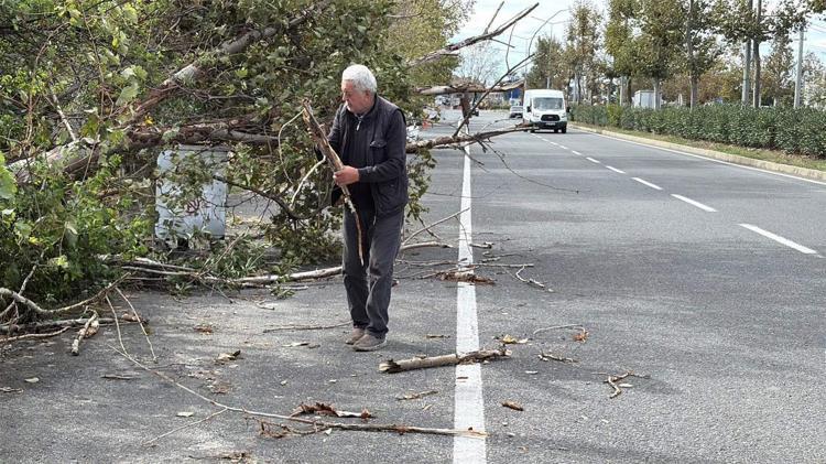 Tekirdağ'da fırtına; ağaç ve telefon direği devrildi
