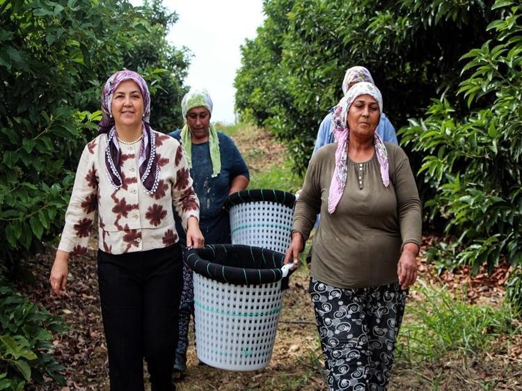 Adana'da avokadonun kilosu 110 liraya düştü