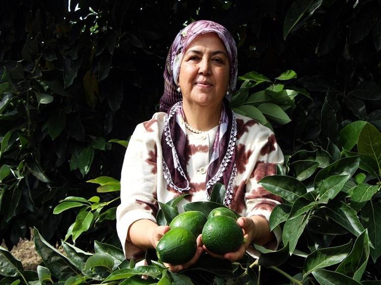 Adana'da avokadonun kilosu 110 liraya düştü