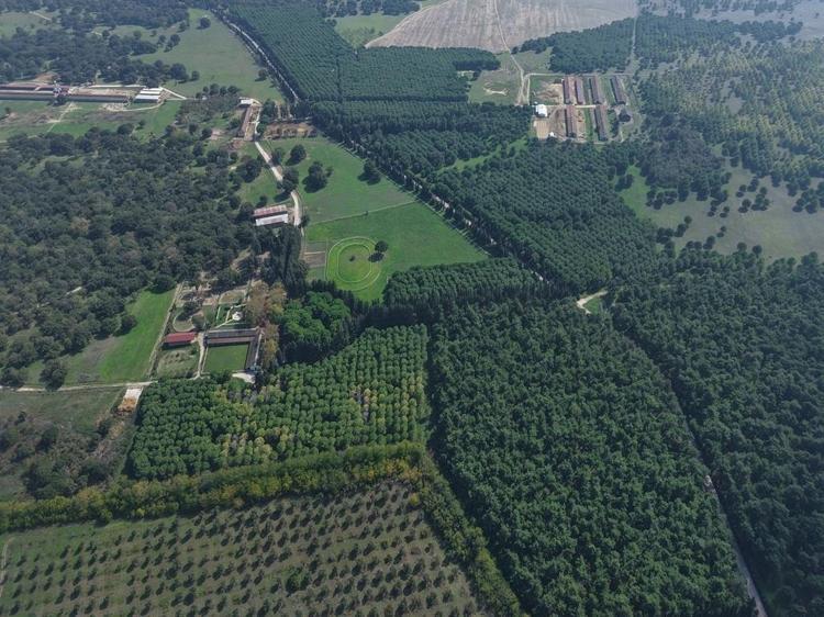 7 asırlık harada milyonluk yarış atları yetiştiriliyor