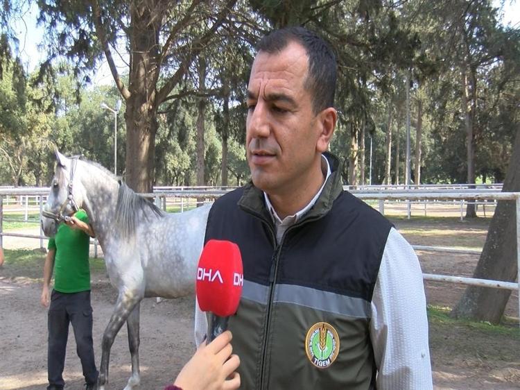 7 asırlık harada milyonluk yarış atları yetiştiriliyor