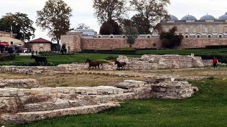 Selimiye Camisi meydanında başıboş 3 at otlarken görüldü