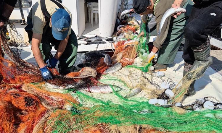 Tekirdağ’da tekneyle denize açılan balıkçılar, 1,5 ton kefal avladı