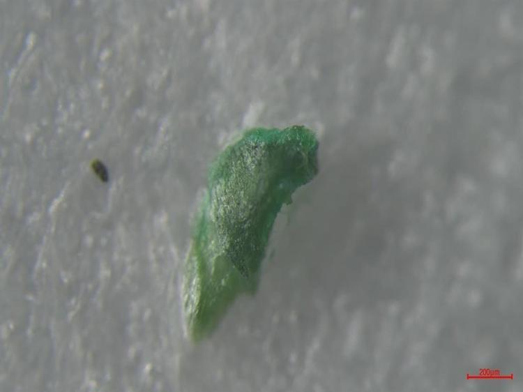 Her 10 sigara çeşidinin 9'unda mikroplastik çıktı