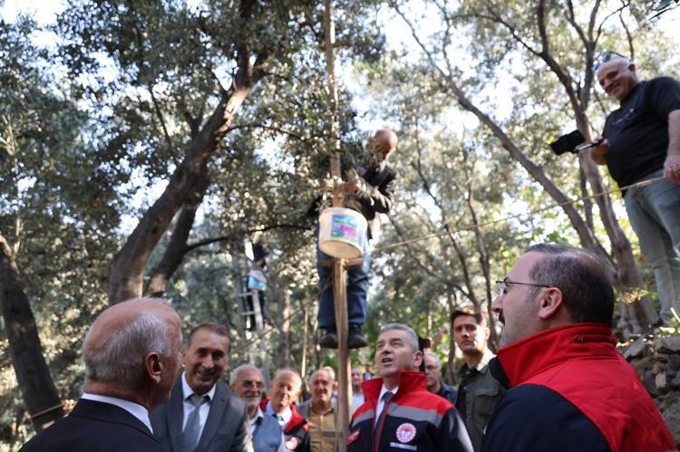 Artvin’in ödüllü ‘Butko’ zeytininde hasat başladı