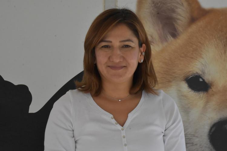 Ortaokul öğrencileri, yaralı kedi 'Kurabiye'nin tedavisi için harçlıklarını biriktirdi