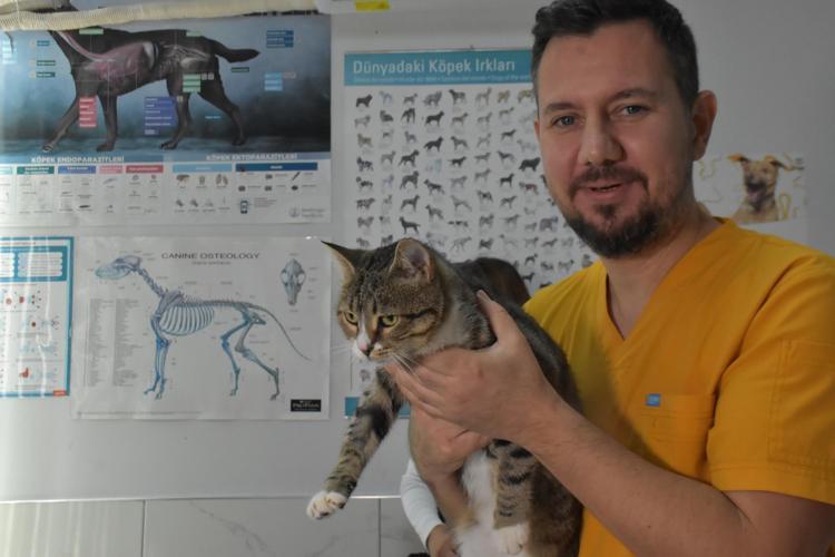 Ortaokul öğrencileri, yaralı kedi 'Kurabiye'nin tedavisi için harçlıklarını biriktirdi