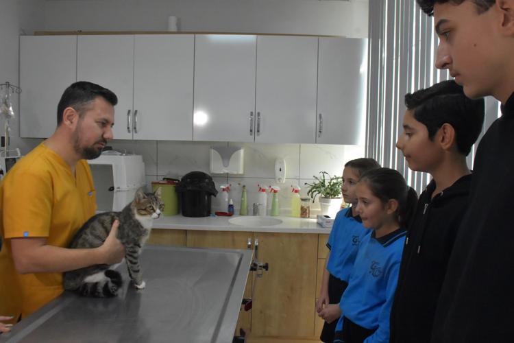 Ortaokul öğrencileri, yaralı kedi 'Kurabiye'nin tedavisi için harçlıklarını biriktirdi
