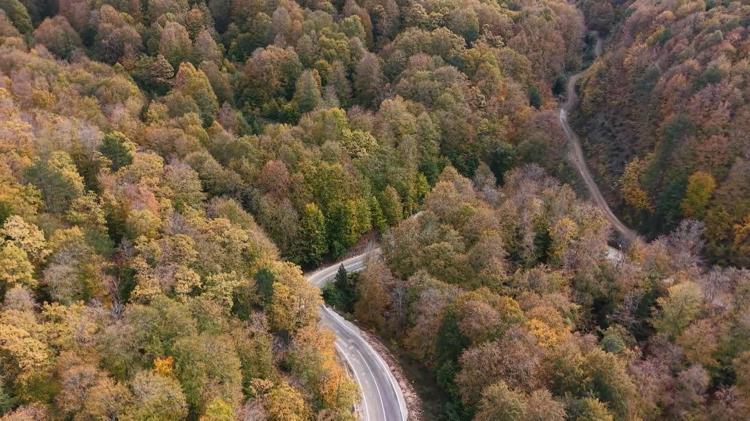 Uludağ’da sonbahar manzarası