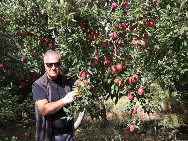 Akademisyen aile öncülük etti, Van elması sınırları aştı
