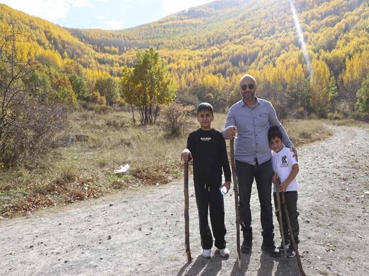 Erciyes’in eteklerindeki 'Ortaseki Ormanı'nda renk cümbüşü