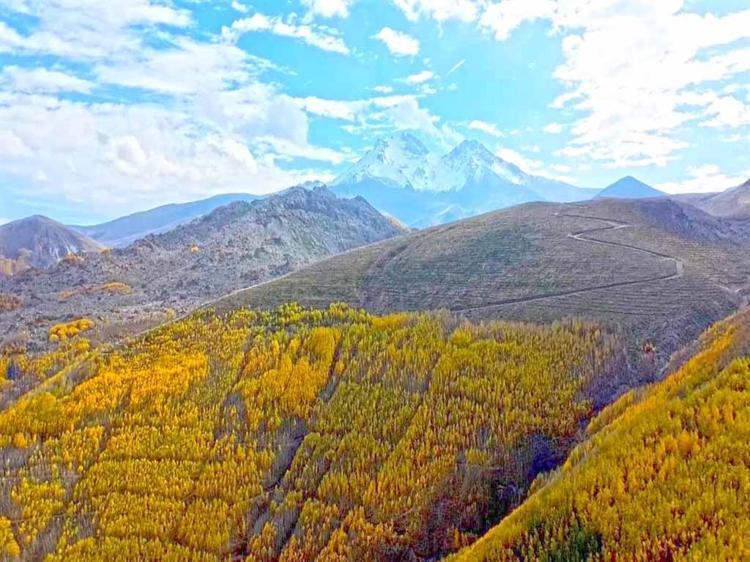 Erciyes’in eteklerindeki 'Ortaseki Ormanı'nda renk cümbüşü