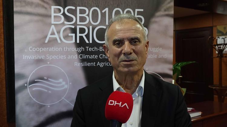 Karadeniz'de istilacı böcek kabusuna 'siber' kalkan