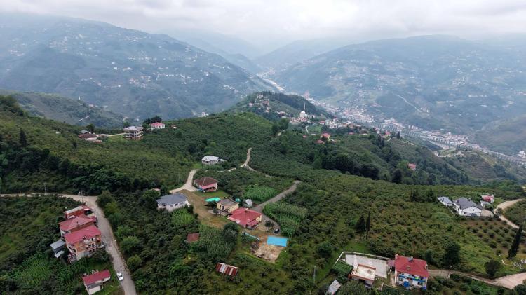 Karadeniz'de istilacı böcek kabusuna 'siber' kalkan