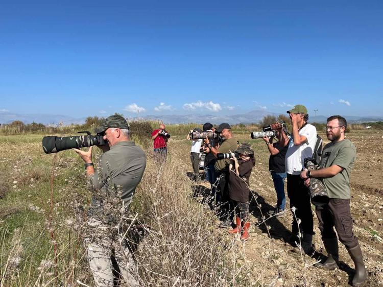 Türkiye'nin 506'ncı kuş türü, Antalya'da görüntülendi