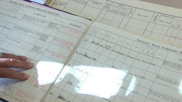 DNA örnekleri alınan atlara, mikroçip ile kimlik numarası verilip, nüfus kayıtları tutuluyor