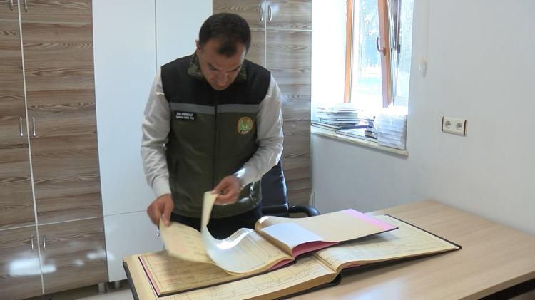 DNA örnekleri alınan atlara, mikroçip ile kimlik numarası verilip, nüfus kayıtları tutuluyor