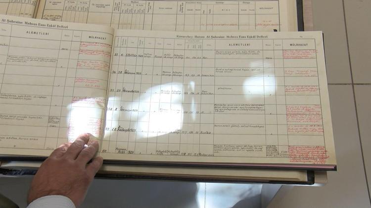 DNA örnekleri alınan atlara, mikroçip ile kimlik numarası verilip, nüfus kayıtları tutuluyor