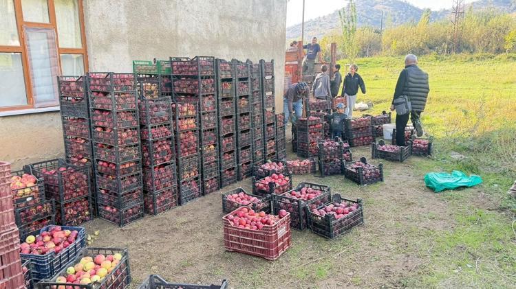 Devlet desteğiyle kurduğu bahçede 15 yıldır elma üretiyor