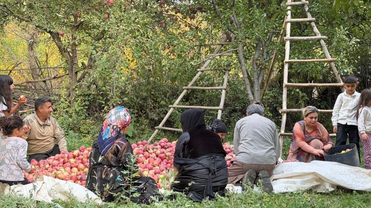 Devlet desteğiyle kurduğu bahçede 15 yıldır elma üretiyor