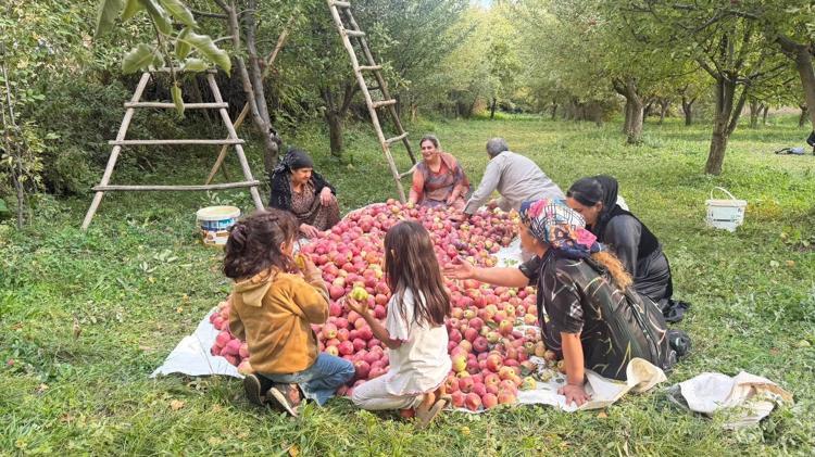 Devlet desteğiyle kurduğu bahçede 15 yıldır elma üretiyor