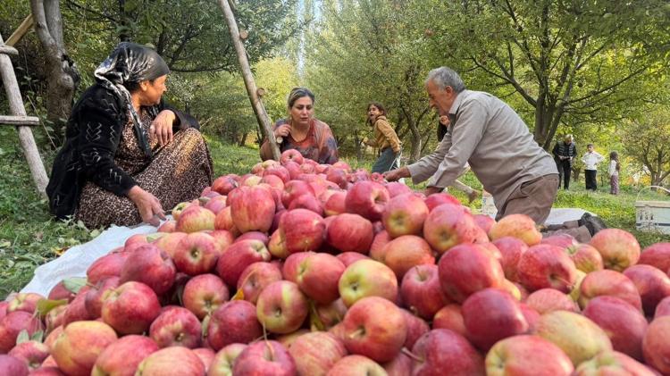 Devlet desteğiyle kurduğu bahçede 15 yıldır elma üretiyor