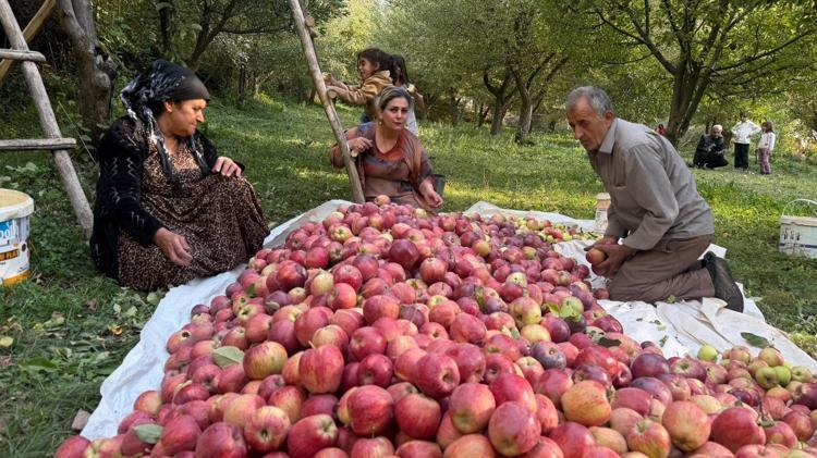 Devlet desteğiyle kurduğu bahçede 15 yıldır elma üretiyor