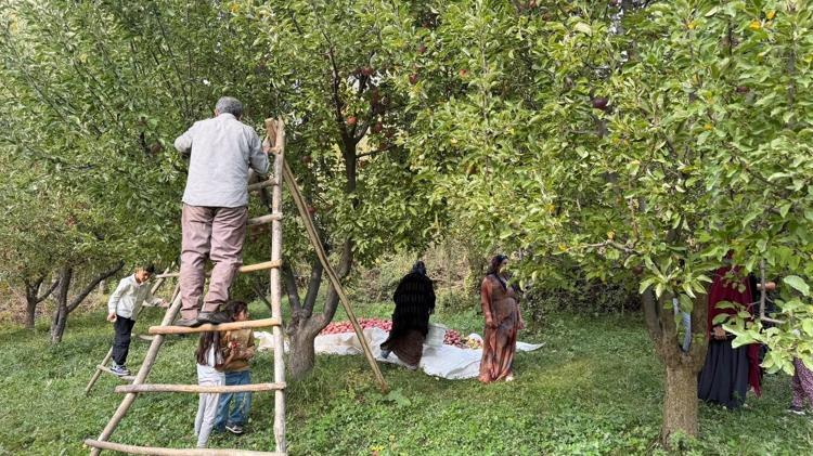 Devlet desteğiyle kurduğu bahçede 15 yıldır elma üretiyor