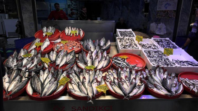 Karadeniz’de palamut göç etmeye başladı; hamsi bolluğu beklentisi