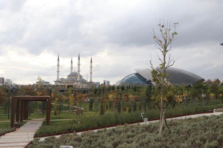 Beştepe Millet Ormanı yarın açılıyor