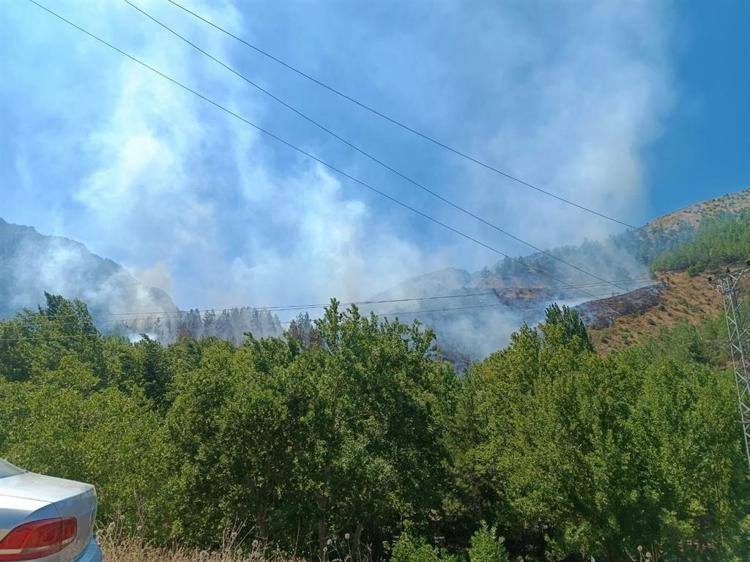 Şakalaşma sırasında atılan torpille yanan alan, 27 bin fidanla yeniden ağaçlandırıldı